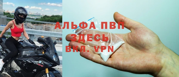 ПСИЛОЦИБИНОВЫЕ ГРИБЫ Верея