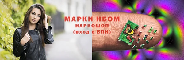 ПСИЛОЦИБИНОВЫЕ ГРИБЫ Верея