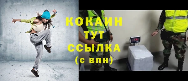 ПСИЛОЦИБИНОВЫЕ ГРИБЫ Верея