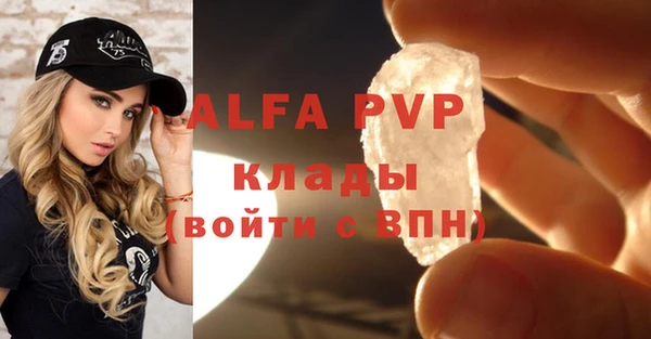ПСИЛОЦИБИНОВЫЕ ГРИБЫ Верея