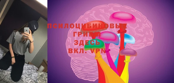 мдпв Приозерск