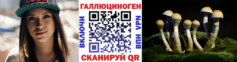 Псилоцибиновые грибы мицелий  ОМГ ОМГ ссылки  нарко площадка наркотические препараты  Воркута 